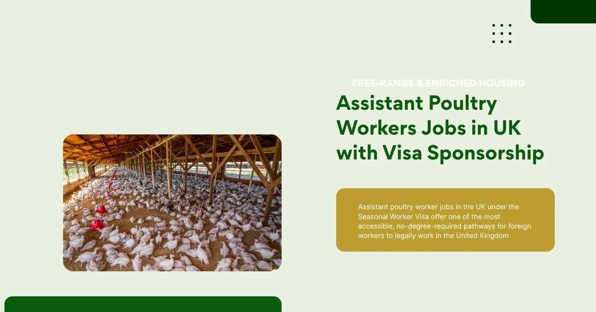 Assistant Poultry Workers Jobs in UK