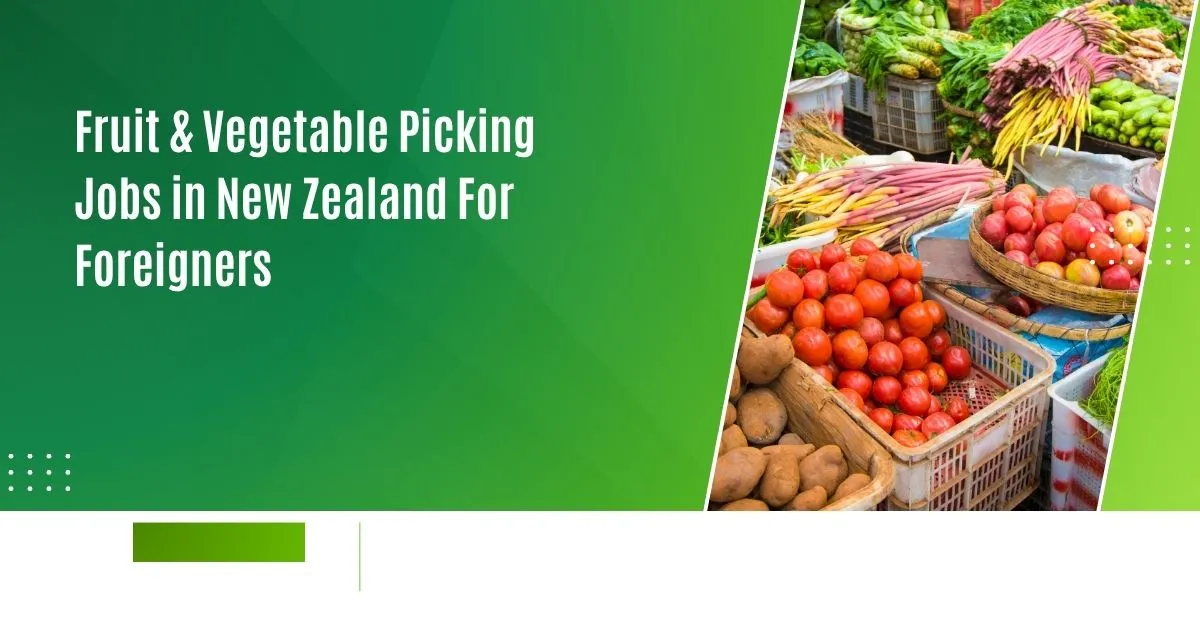 Fruit & Vegetable Picking Jobs in New Zealand