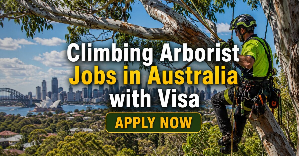 Climbing Arborist Jobs in Australia with Visa